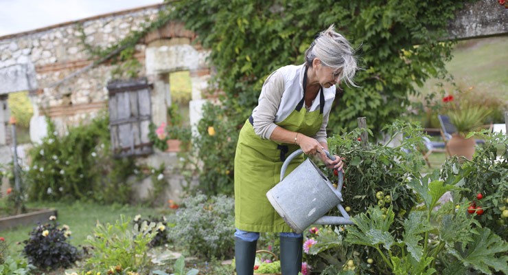 0256_185786775 woman watering flowers in her garden
